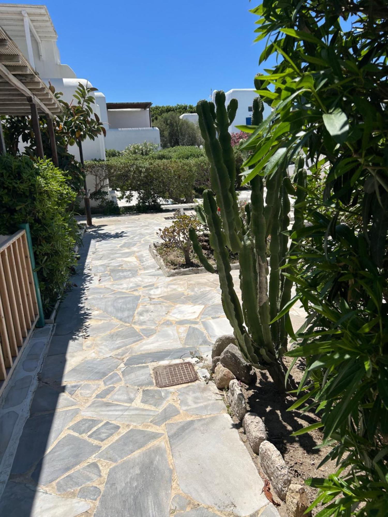 Luxury House With Swimming Pool In Ornos Mykonos Vila Exterior foto